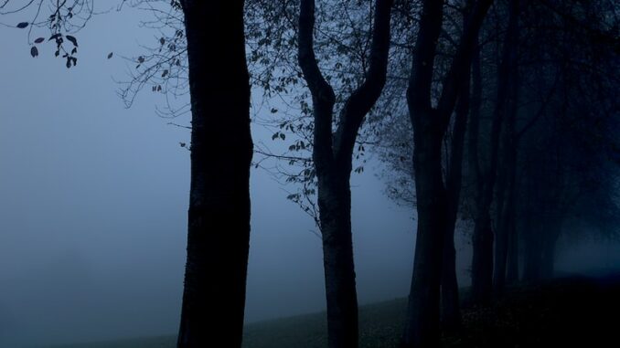 uploaded-image-bogazici-fen-bilgisi-ogretmenligi-1696956965561