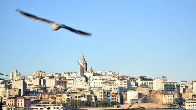 uploaded-image-bogazici-guvenlik-1696957197631